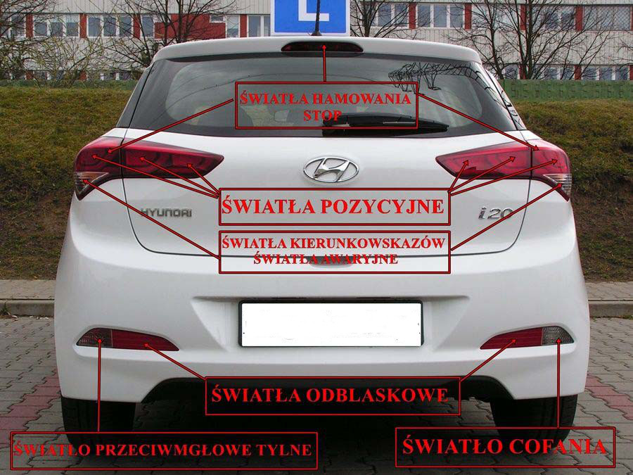 Oferta szkolenie